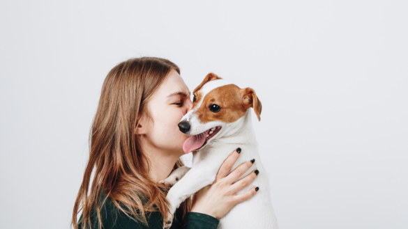 Kela med hunden – en farlig smittorisk?